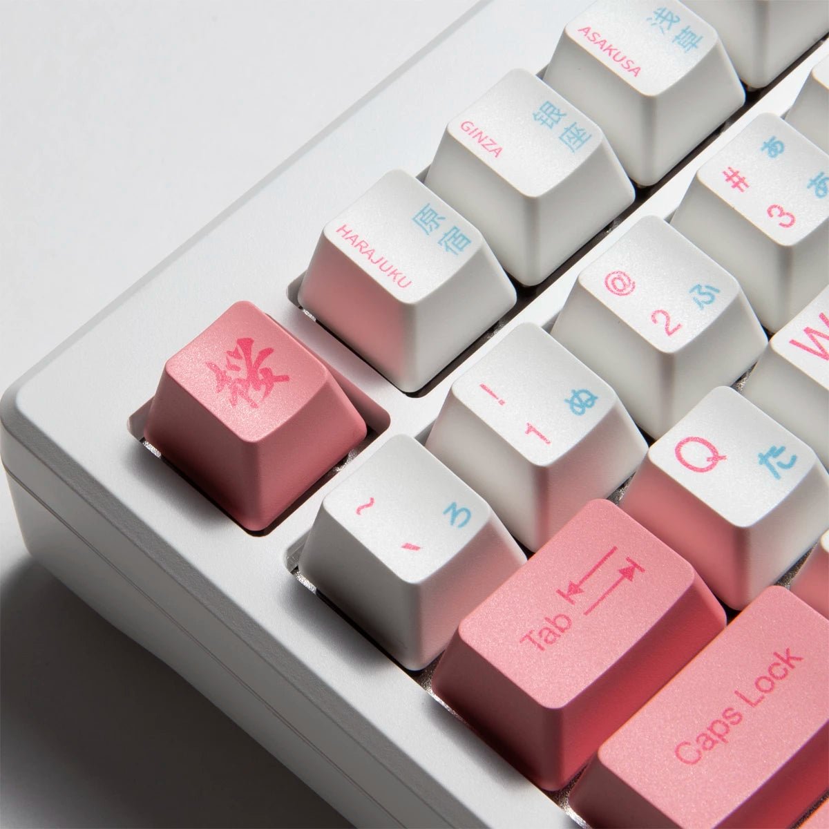 Akko MOD 007B HE 75% Keyboard