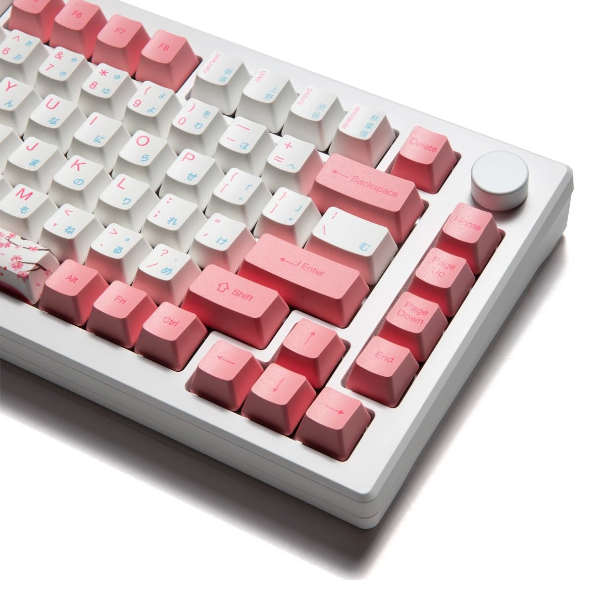 Akko MOD 007B HE 75% Keyboard