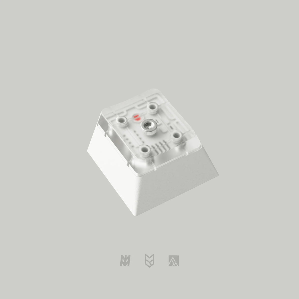 PBTfans X-Ray Keycap Set